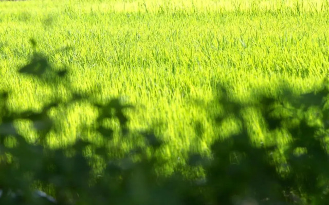 CoTo Starlight Boutique Hotel