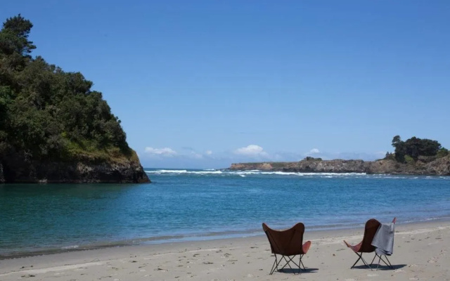 Mendocino Grove