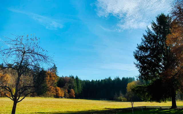 Waldgasthof zum Geländer