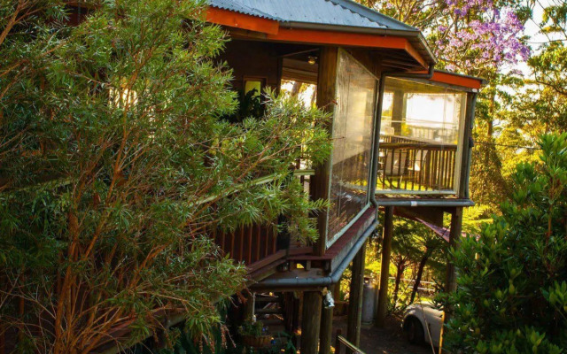 Tamborine Mountain B&B