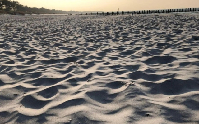 Residenz am Strand Dünentraum - Wohnung 1-05