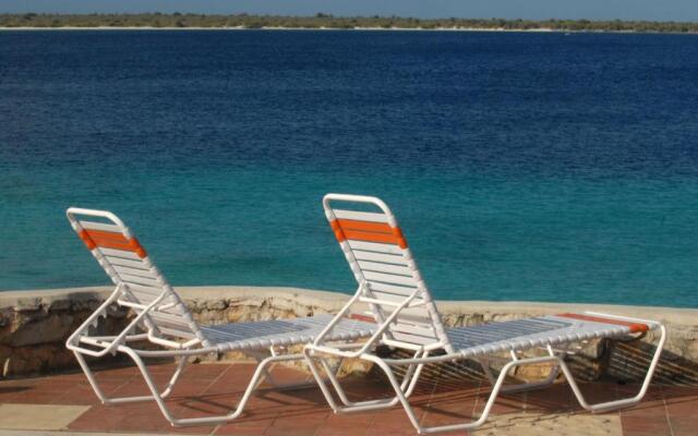 Sand Dollar Bonaire