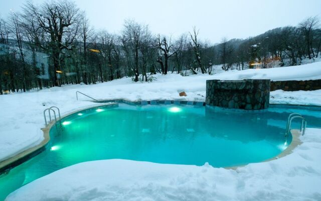 Hotel Termas Chillán