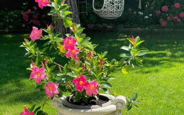 Penzion Na Staré Poště