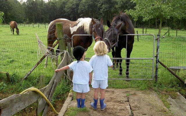 Spacious Apartment in Posterholt with Terrace