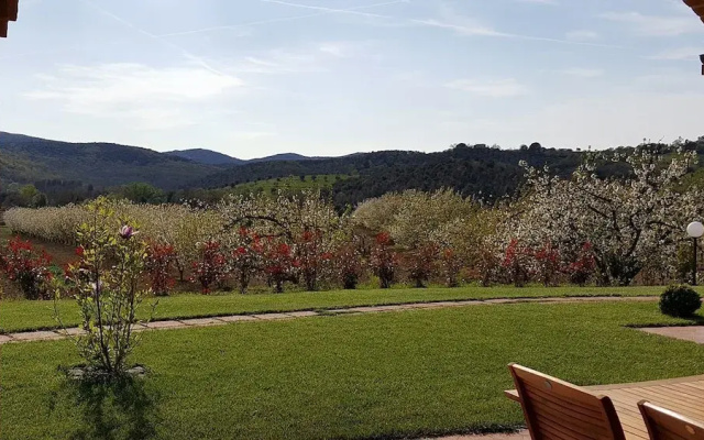 Il Giardino dei Ciliegi