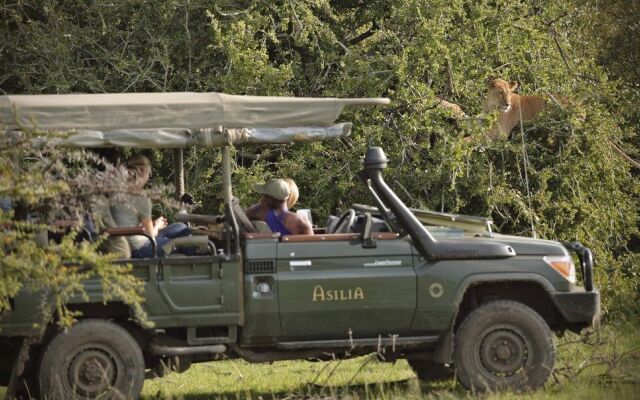 Encounter Mara Camp