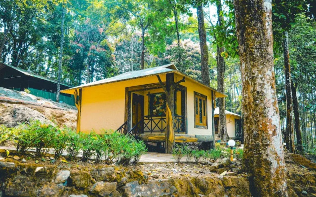 Vythiri Wild Forest Resort