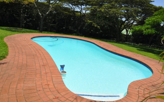 Birds of paradise B&B