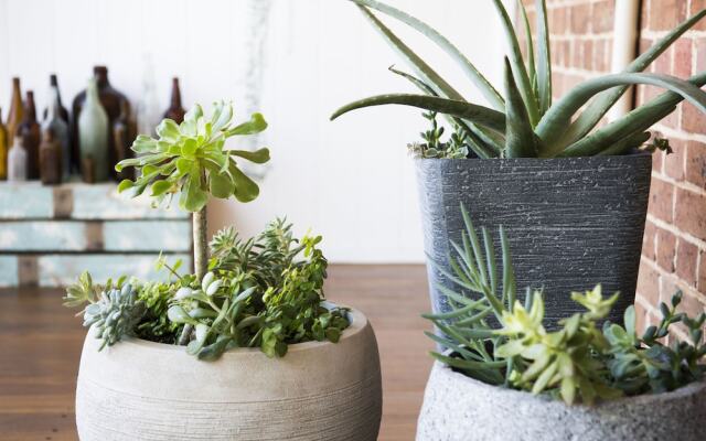 The Parkview Hotel Mudgee