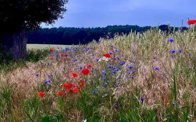 Ferienhotel Alter Bahnhof