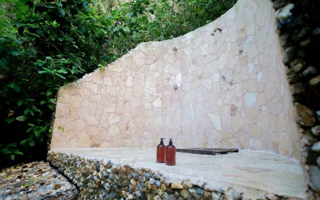 Dominican Tree House