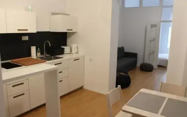 Sasha Apartment
