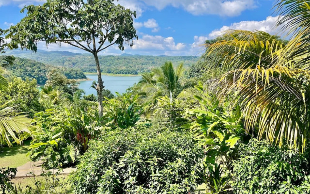 The Fruit Tree Garden Bromeliad Suite