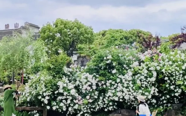 Floral Hotel · Peach‑Fate Hill Manor (Sunrise Hill‑Wuxi) – Outside – Wuxi