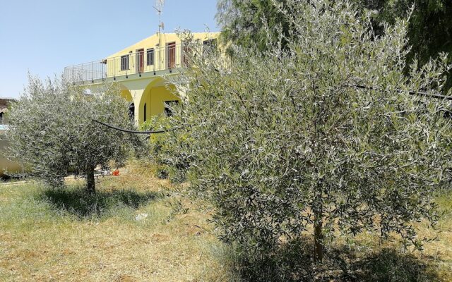 Villa Finaiti - Sole