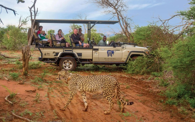 Madikwe River Lodge