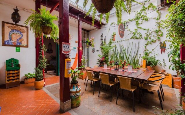 Chocolate Hostel