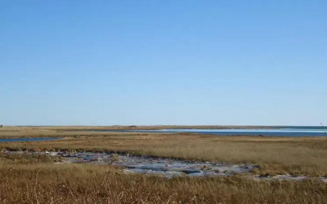 Au Petit Chalet de la Dune