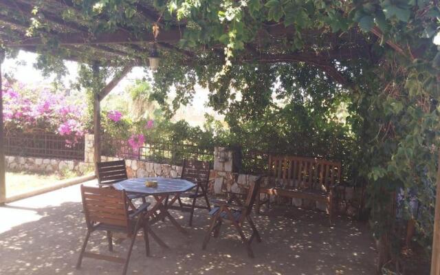Maria's Garden