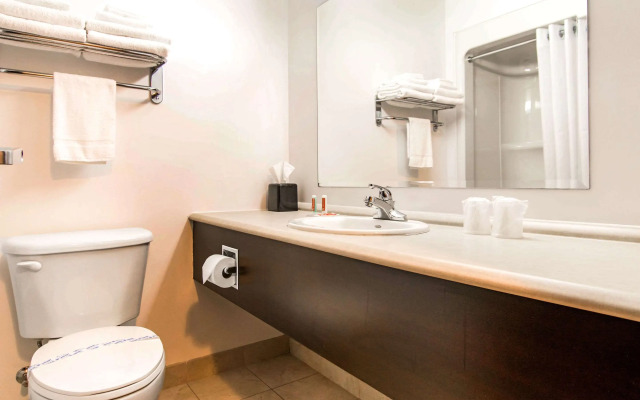 Econo Lodge Inn & Suites