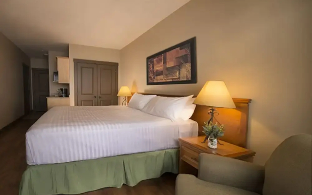 Palliser Lodge
