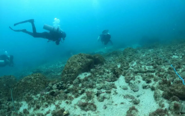Aquamaster Dive Pousada