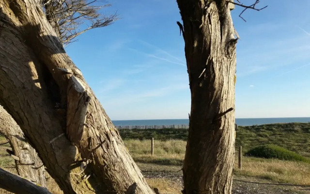 Camping la Forêt
