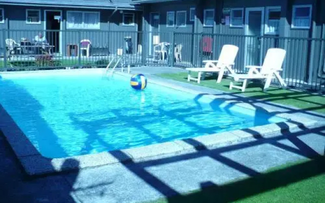 The Magpie- Hawkes Bay Motel