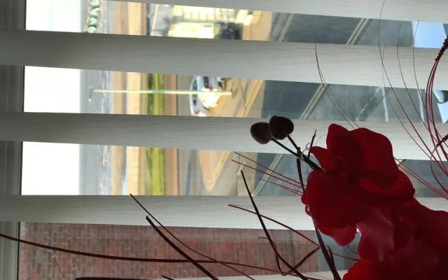 Sutton Park Guest House