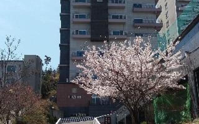 Zenith Hotel
