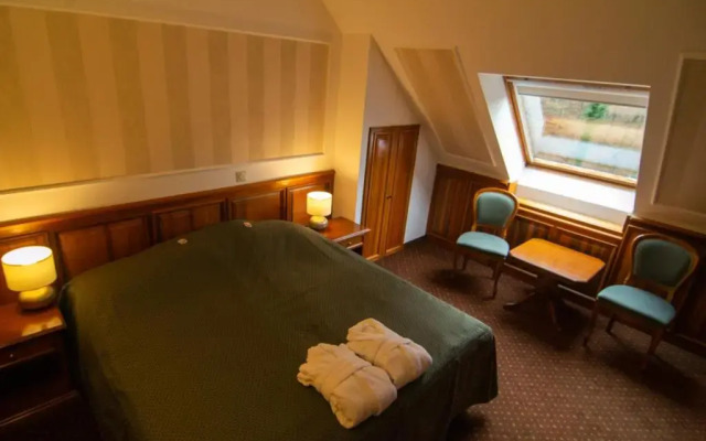 Отель Kastélyhotel Sasvár