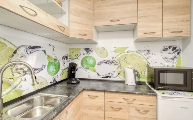 Elegant Apartment in Freiburg near Forest