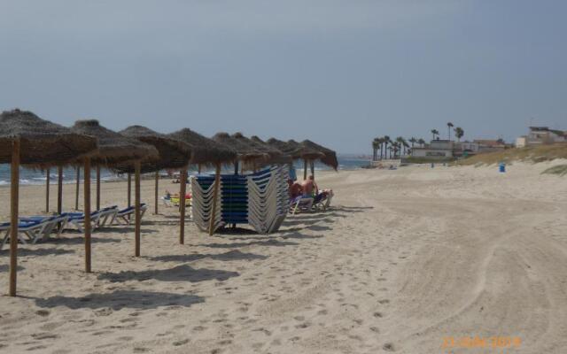 Higuericas Costa 211