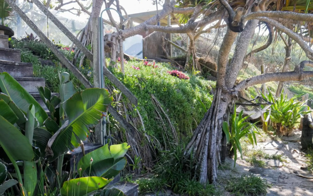 Shambhala@Byron