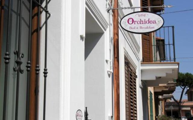 Orchidea B&B