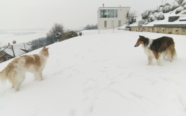 Swiss Borzoi House