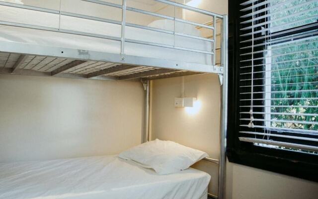 Little Drifter Glebe