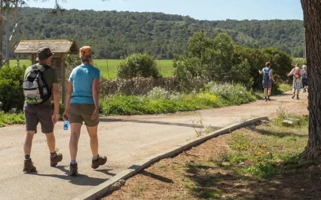 Paguera Treff Boutique Hotel