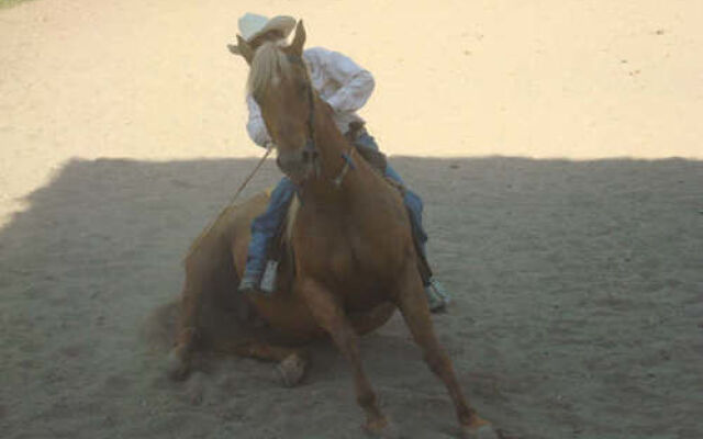 Palomino Ranch Hotel
