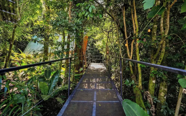 Tityra Lodge