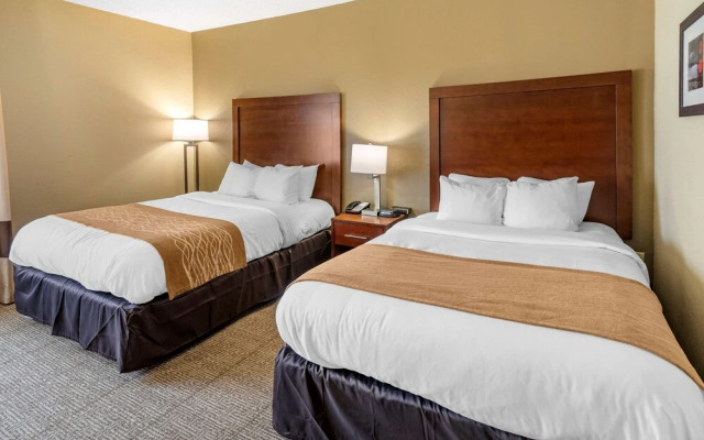 Comfort Inn And Suites Lincoln Al