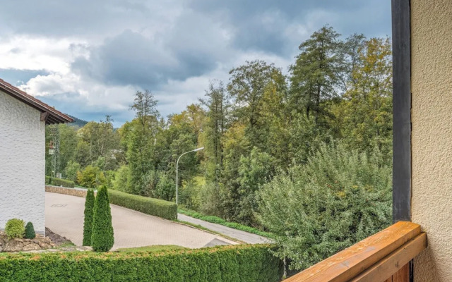 Apartment in Marktrodach With Sauna & Garden