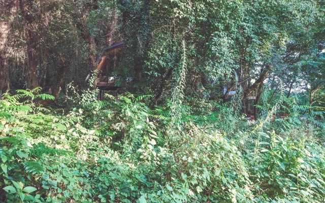 Duende Treehouses & Cocktails
