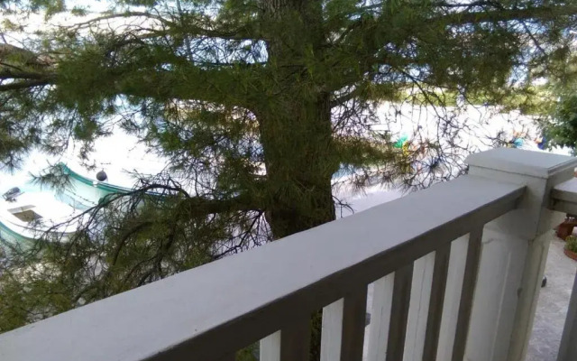 Apartments Ani - 10 M from the sea