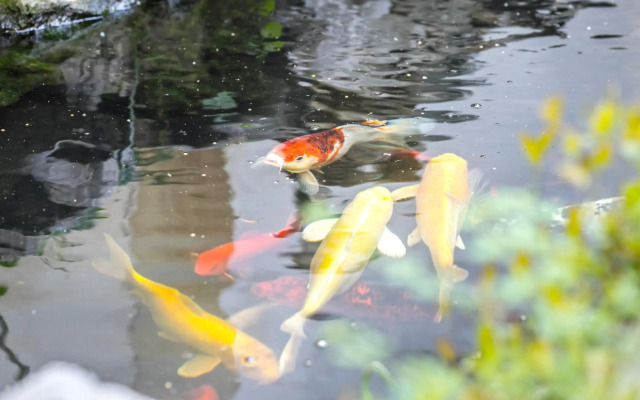 Tongli 1917 Best South Boutique Inn