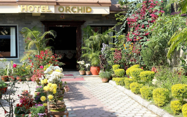 Hotel Orchid