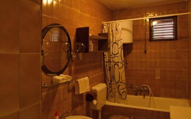 Apartment Zorka 719