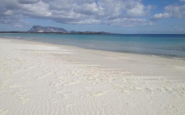 Appartamento Iris 300 mt spiaggia