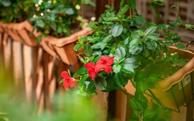Shanfeng Garden Inn (Lijiang Ancient Town Mufu Branch)